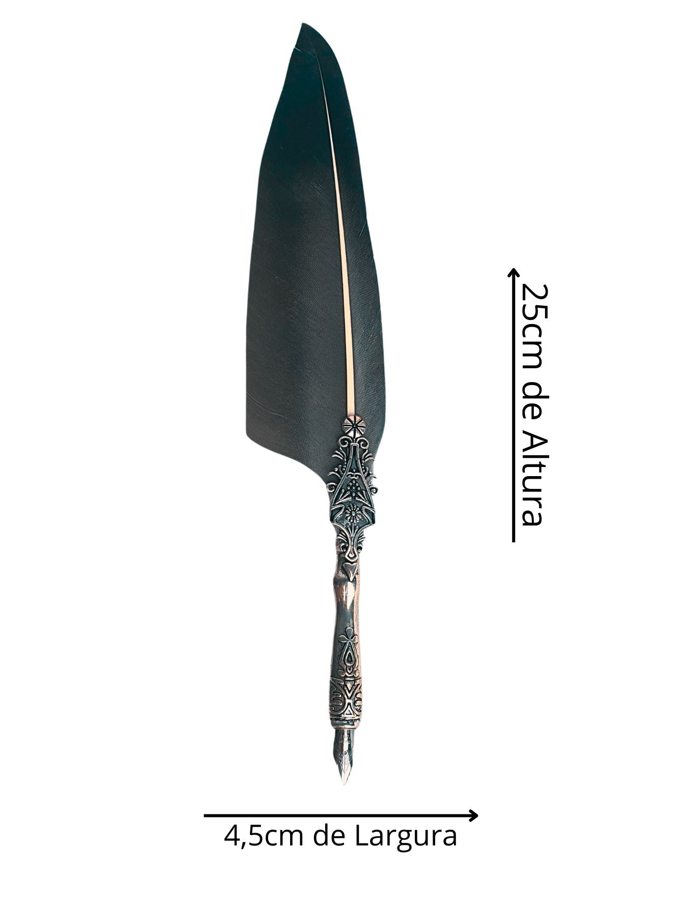 Caneta Tinteiro Pena Simples Preto Caneta Tinteiro Pena Simples Preto
